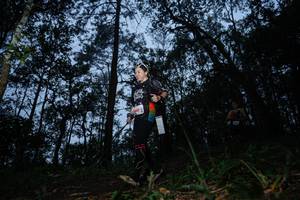 BIB: 1995
                            <button type="button" onclick="openModal(22568530)" class="btn btn-primary btn-sm float-right btn-popup" data-toggle="modal" data-target=".modal-high-quality">
                        <i class="fas fa-shopping-cart"></i> Add to Cart
                    </button>
                                            <button type="button" onclick="isThisMe(22568530, true)" class="btn btn-success btn-sm float-right btn-popup btn-isme hidden" data-toggle="tooltip" data-placement="bottom" title="นี่คือรูปของคุณใช่ไหม คลิกที่นี่เพื่อเอาเข้าอัลบั้ม">
                        <i class="fas fa-plus"></i> Add to album
                    </button>
                    <button type="button" onclick="isThisMe(22568530, false)" class="btn btn-warning btn-sm float-right btn-popup btn-isnotme hidden">
                        <i class="fas fa-ban"></i> Remove from album
                    </button>